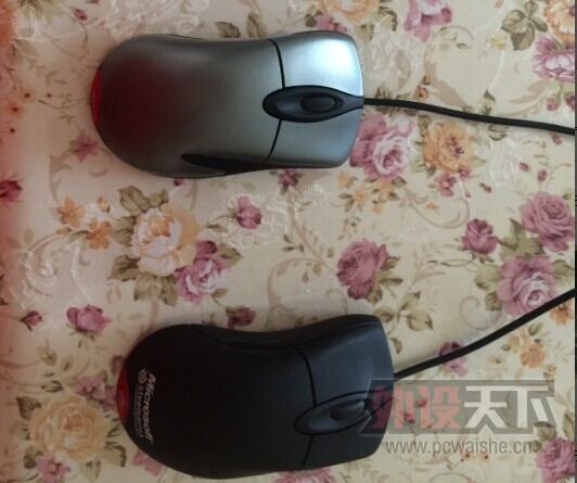 ���ൺ��IE3.0FK ���ֵ��� ˪������