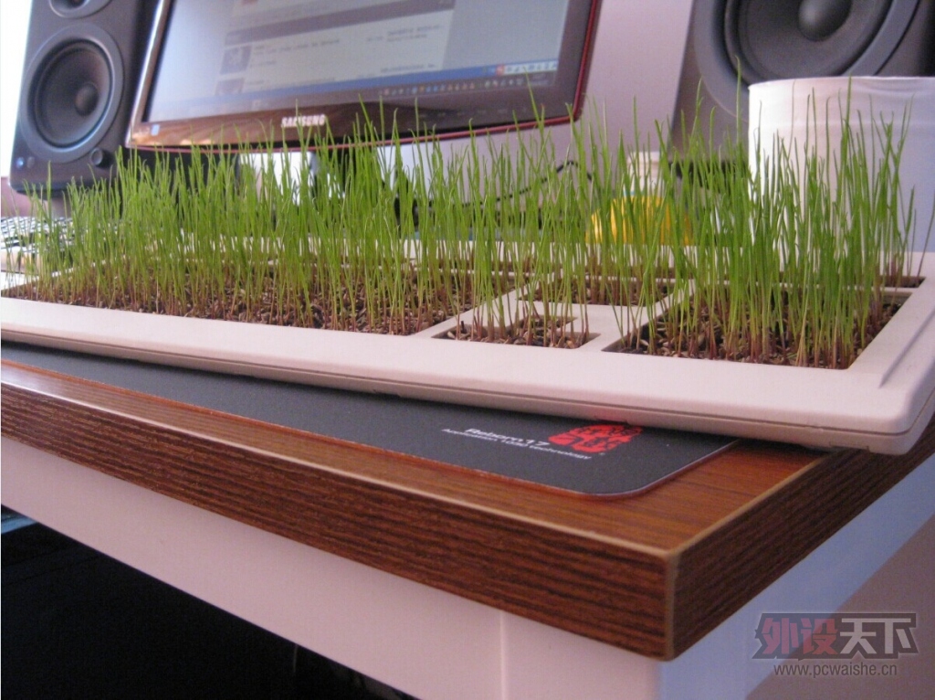 ~���̿������淨�������������˿�β�ԭ~