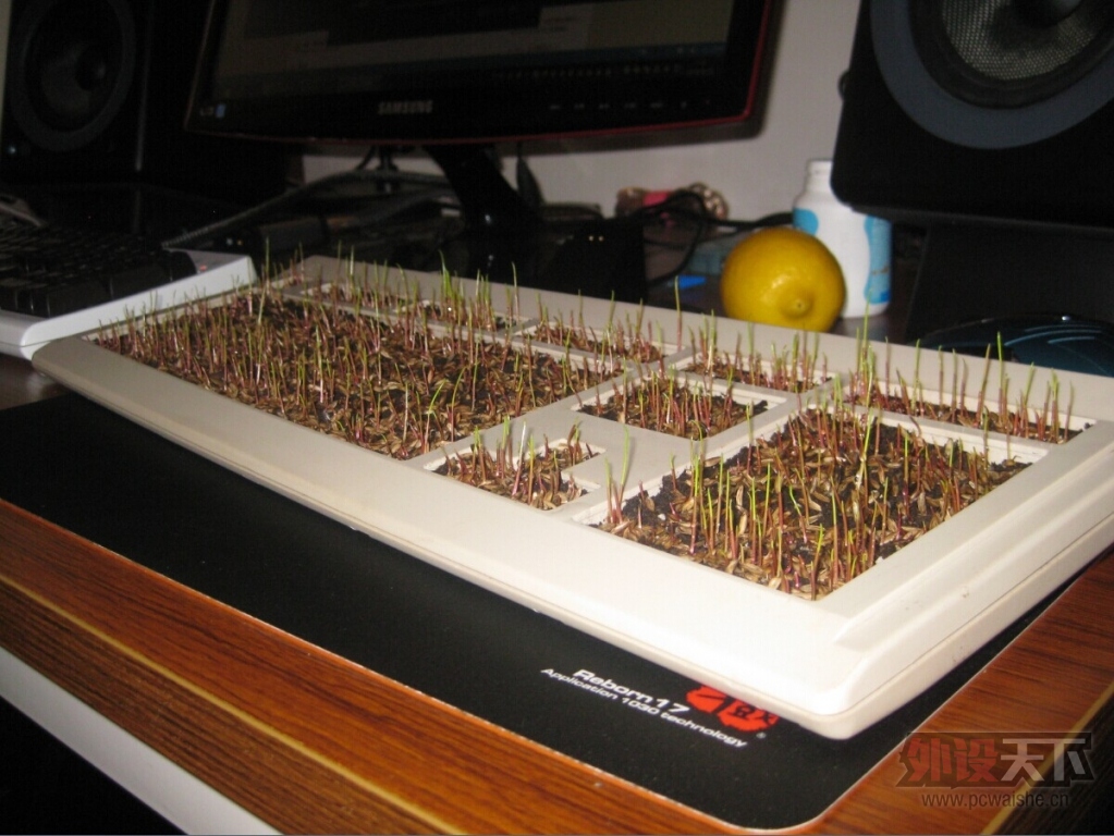 ~���̿������淨�������������˿�β�ԭ~