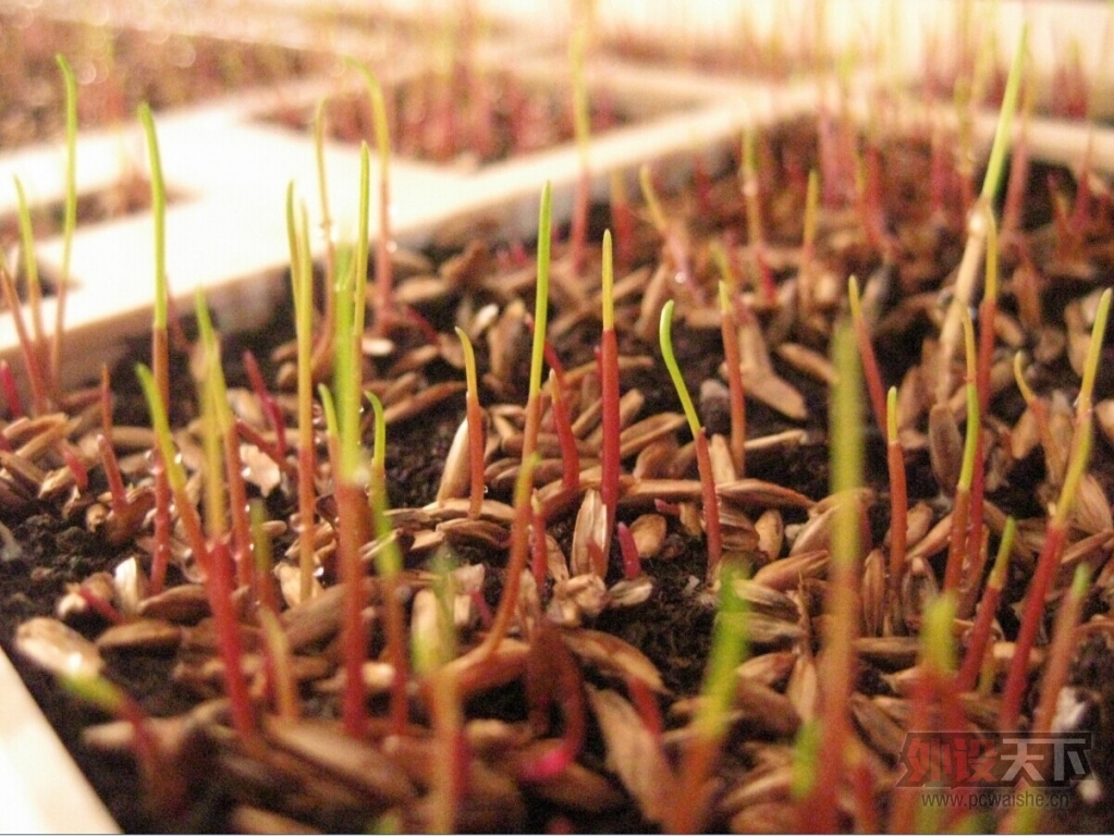 ~���̿������淨�������������˿�β�ԭ~