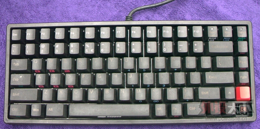 []ݡŵɿ84 8 