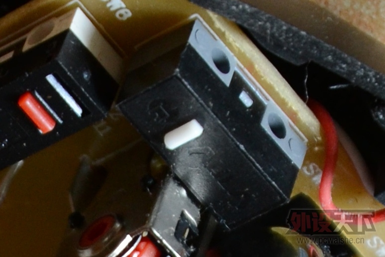 DSC_0757s.jpg