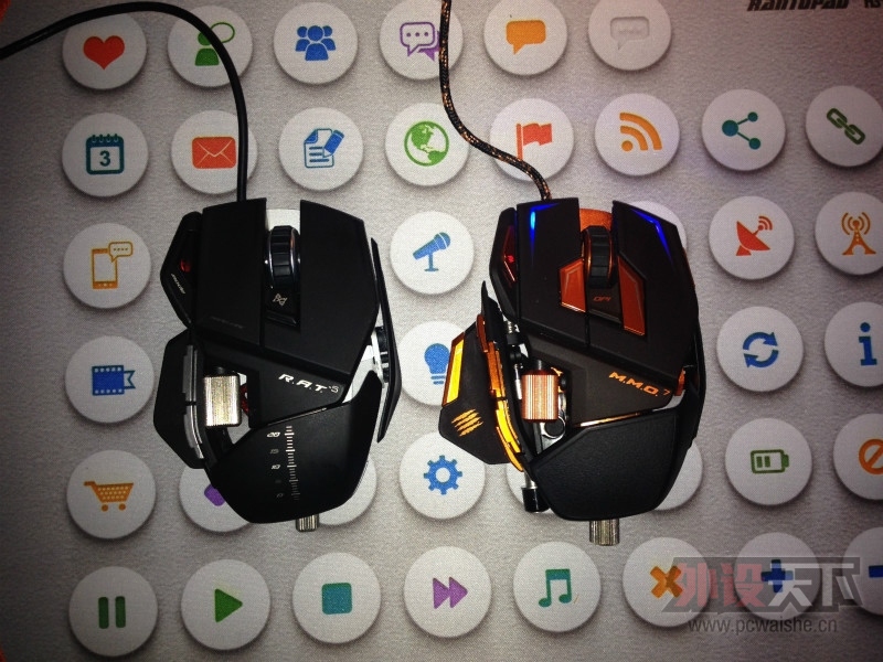 ��RAT5�Ľ��ߡ����ɹ�