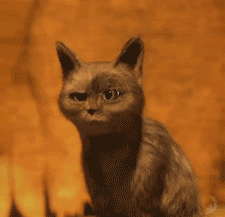 ��������ͷ����ô��