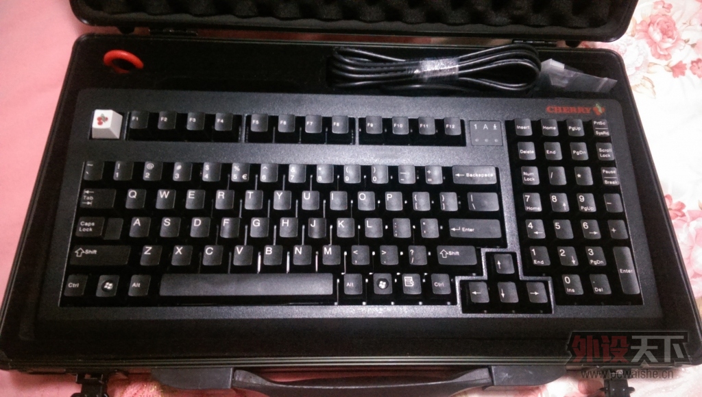 IMAG0151.jpg