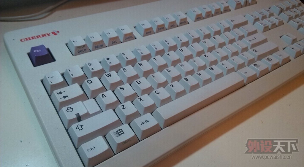 �ŵ㶾��