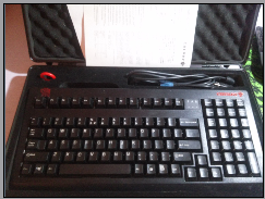 ���㽭��cherry1865 ����