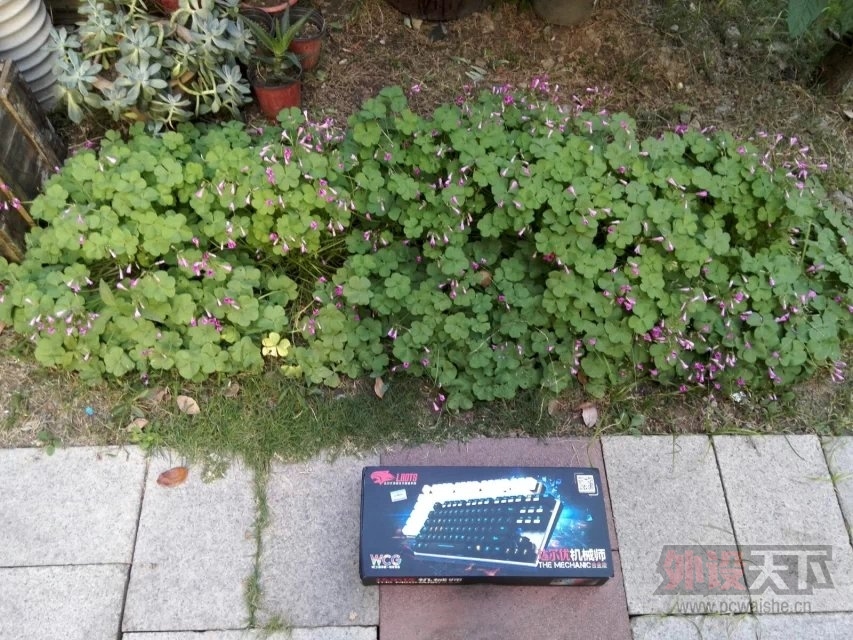 ���������Ĵ��������װ��Ĵ���ż�������߶����������Ա���11P