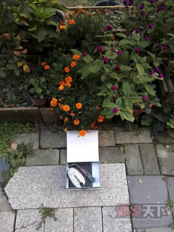 ���������Ĵ��������װ��Ĵ���ż�������߶����������Ա���11P