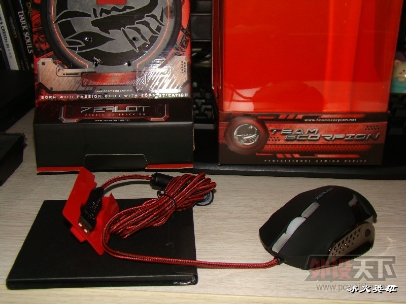 BigBull_DSC08642.JPG