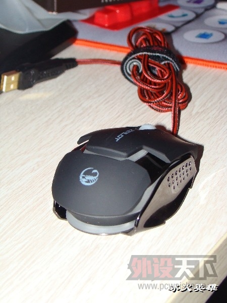 BigBull_22.JPG