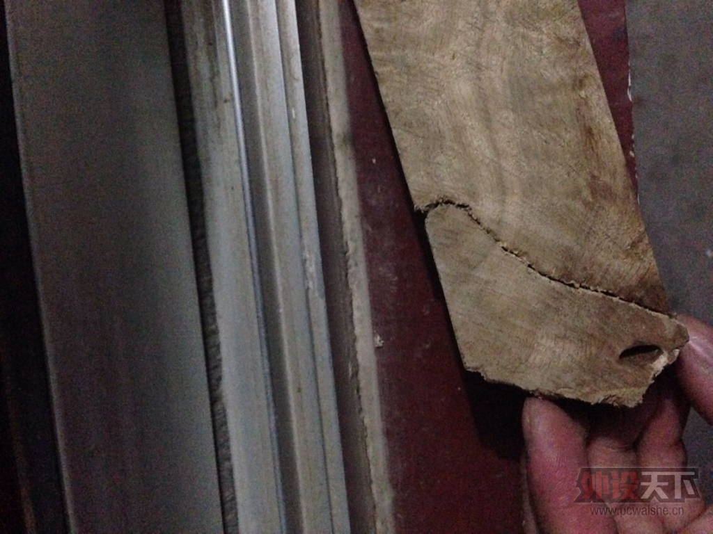 ����DIY��̩��RAT3��������֣��������������۵�˵���Ѿ����±༭ͼƬ