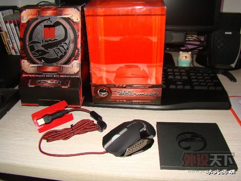 BigBull_�ϼ�1.JPG
