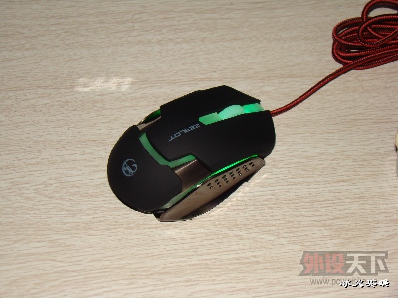 BigBull_DSC08731.JPG