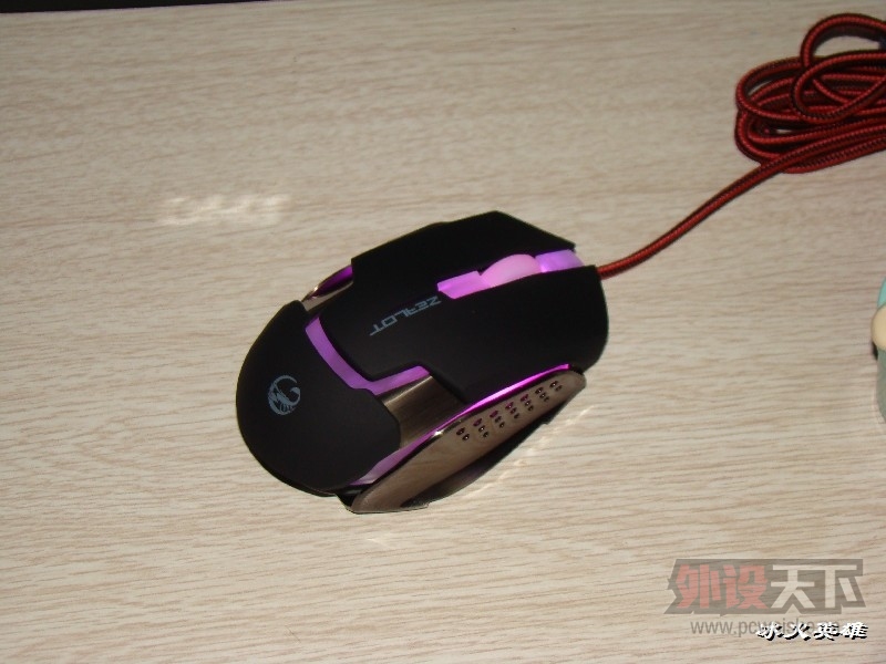 BigBull_DSC08735.JPG