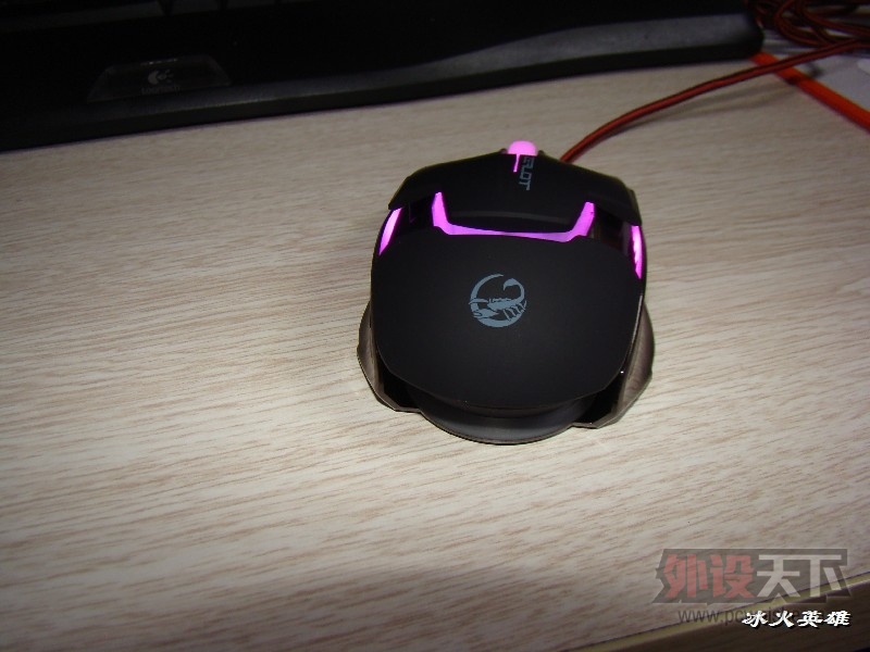 BigBull_DSC08744.JPG