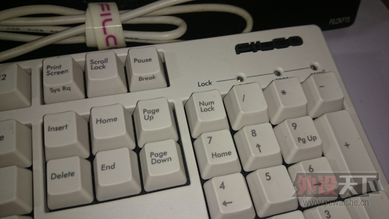 ���Ϻ��� ��е���� FILCO 104 ʥ�ֶ��� ��ɫ����