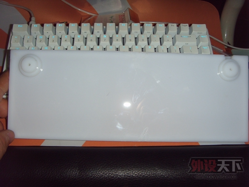 SDC13164.JPG