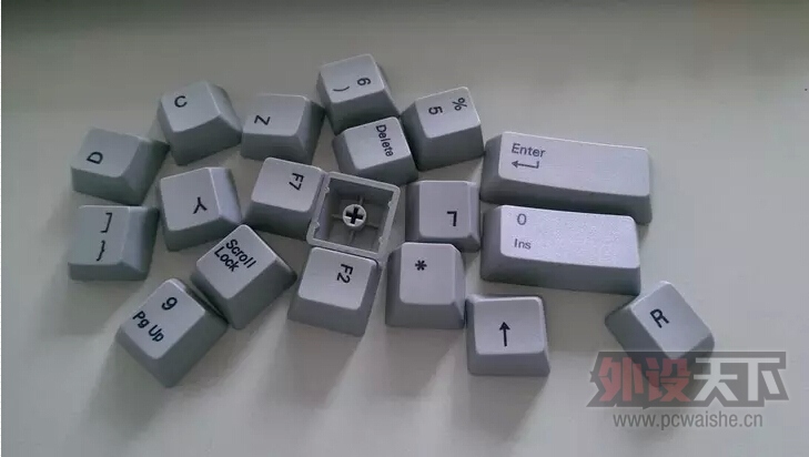 �����ա��ʺ�è��������104
