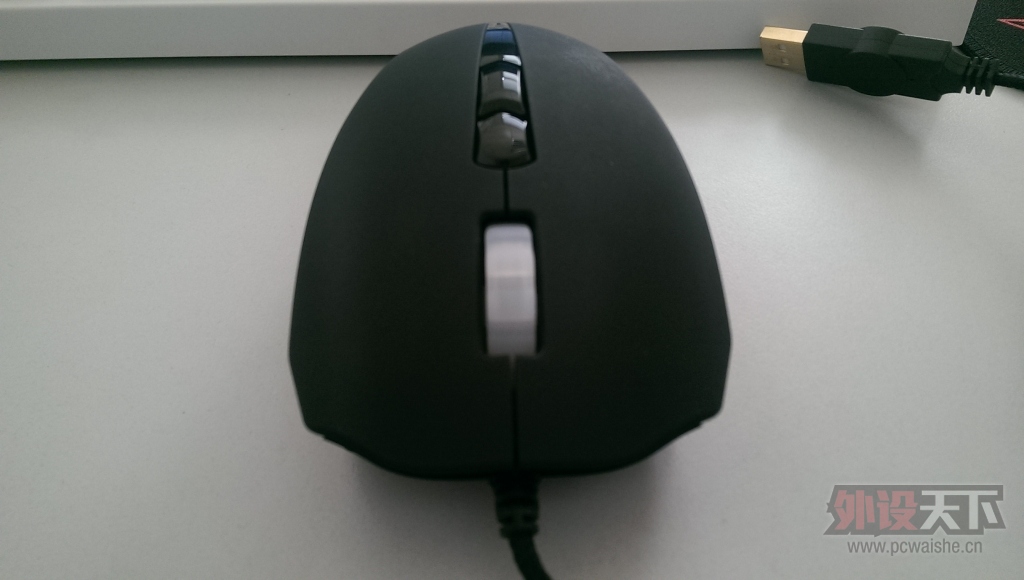 IMAG0206.jpg