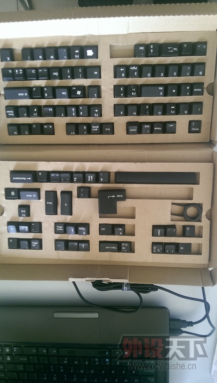 IMAG0214.jpg