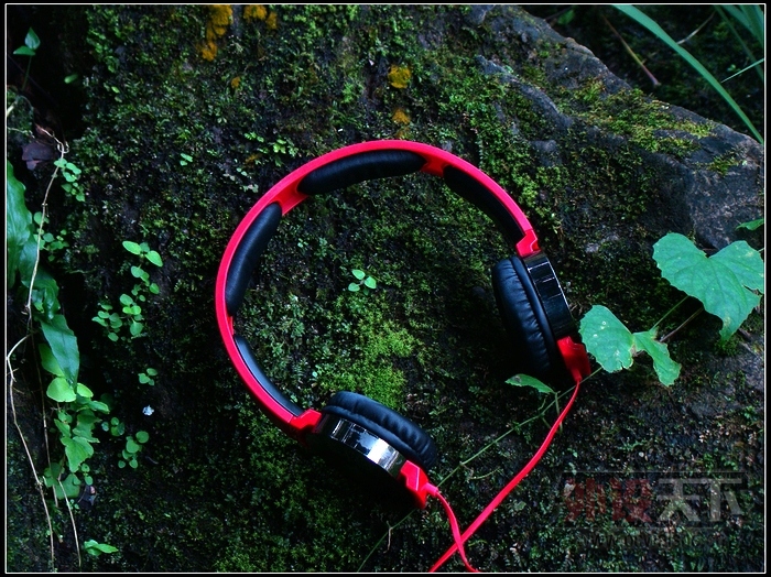 ����֮��ü - ˶���Ƴ���ϵ�б�Я����