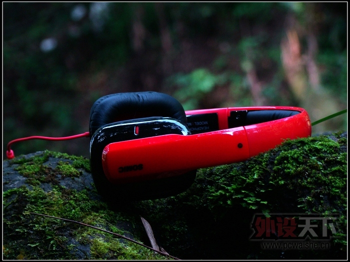 ����֮��ü - ˶���Ƴ���ϵ�б�Я����