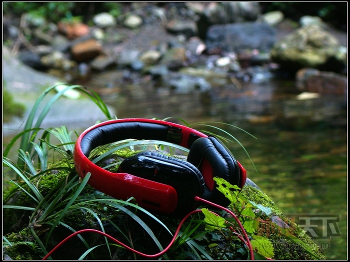 ����֮��ü - ˶���Ƴ���ϵ�б�Я����