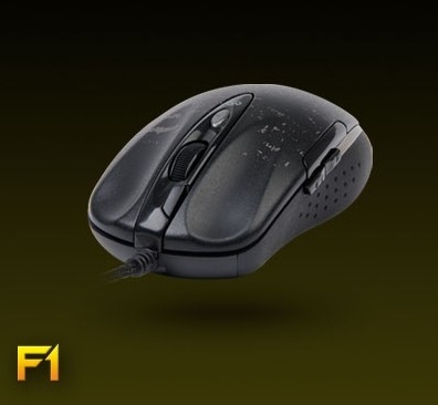 sfy4.jpg