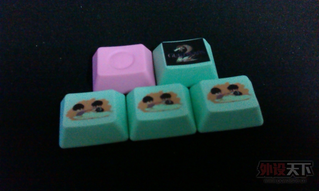 IMAG0378.jpg