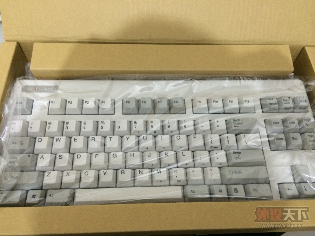 rf  87��ɫ�������� С���ָ�