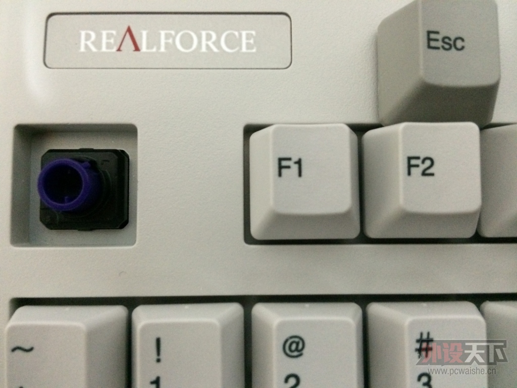 rf  87��ɫ�������� С���ָ�