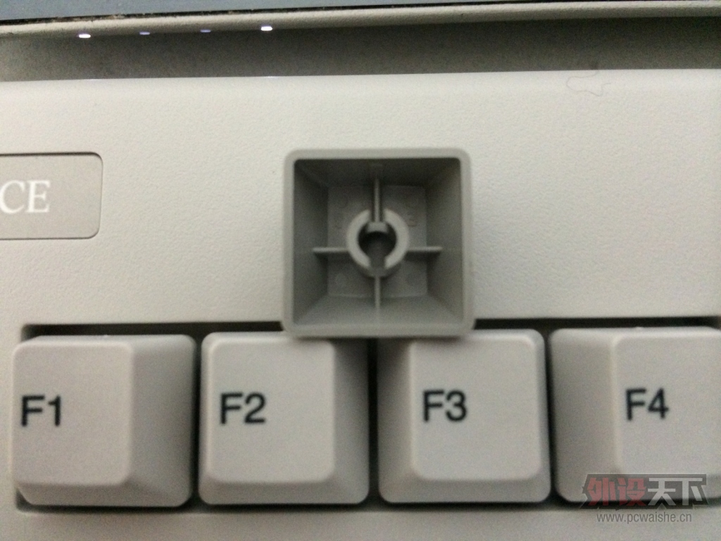 rf  87��ɫ�������� С���ָ�