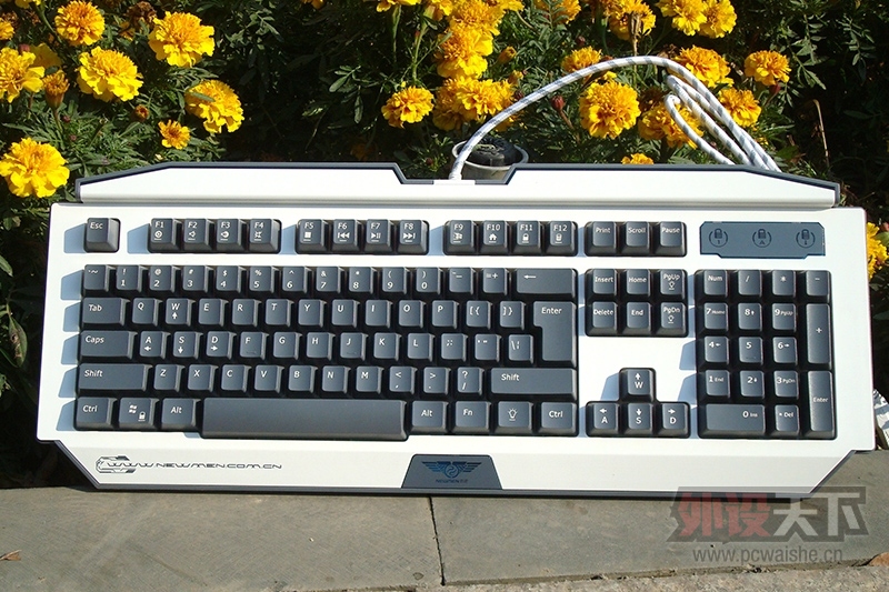 ṹĵ߸ĤĴ---¹G100Mе