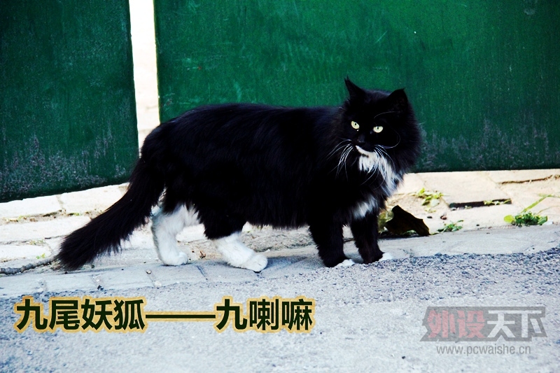 �޼�G402 �������롪���貨΢����ֻΪ�������һ��