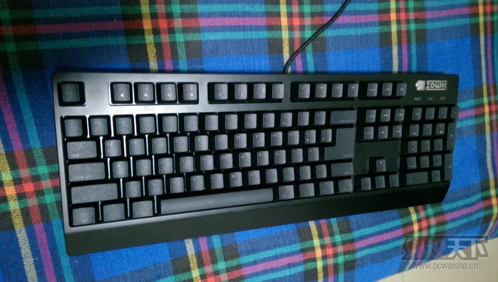 IMAG0229.jpg