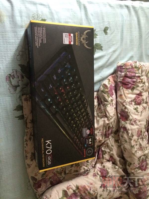 ���人��K70 RGB���ᡣ9.9�£�����һ�����ڡ����ѳ���