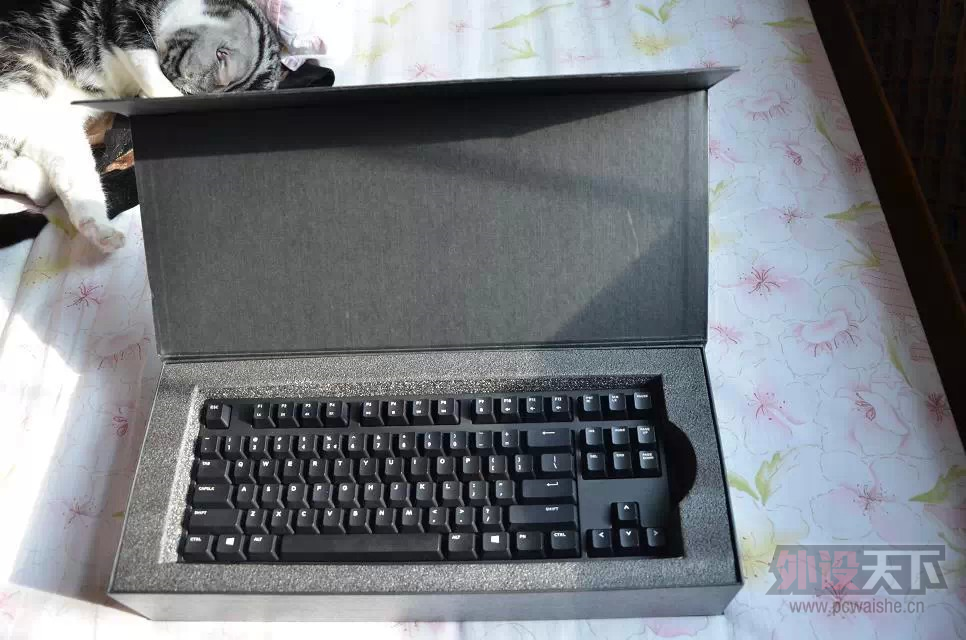 ķ-侲ƪ