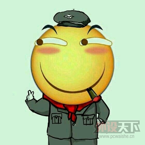 ŵ�վ����ݼ������ָ��롣