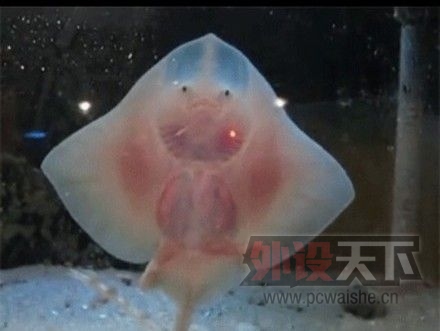 ��ˮ��Ȼ����Ҫ