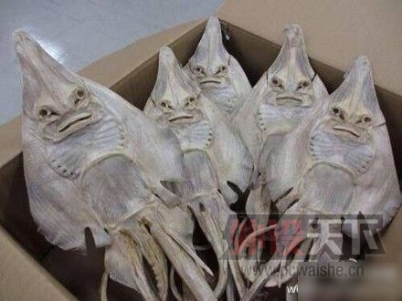 ��ˮ��Ȼ����Ҫ