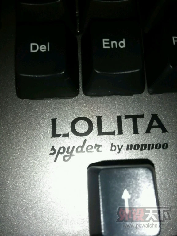 λյNoppoo Lolita spyder ֪ô