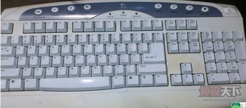 y-ss60.jpg