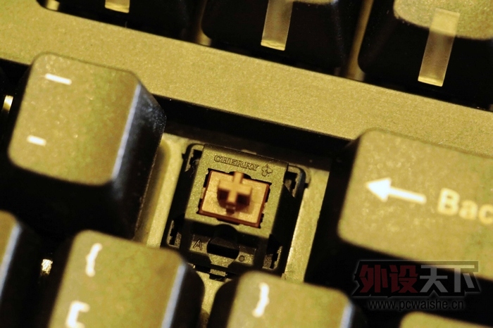�ѳ����ɶ���Zowie������� 95��