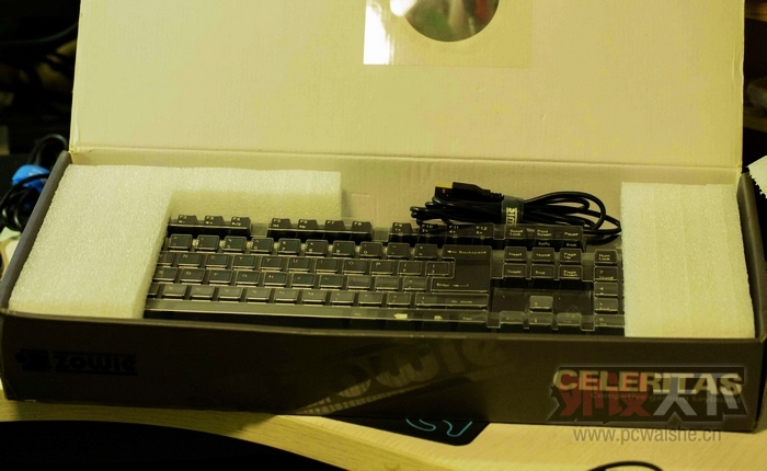 �ѳ����ɶ���Zowie������� 95��