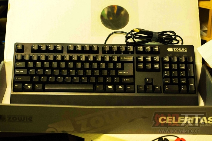 �ѳ����ɶ���Zowie������� 95��