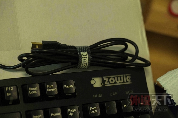 �ѳ����ɶ���Zowie������� 95��
