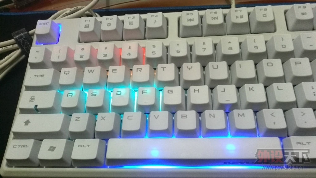 [����]����87 3�� ��ɫ���� ӣ���� 470Ԫ ���û�