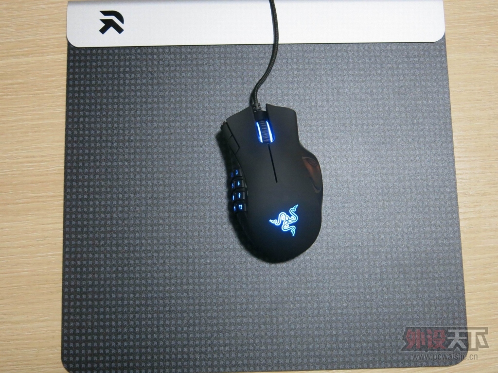 ROGUE MONDO GLIDE ��֬������
