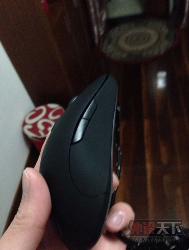 ���㽭��95�����߻ò�280���ʣ�95��raw���250����